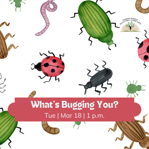 Flyer for "What's Bugging You?" event at the Farmers Branch Manske Library on Tuesday, March 18th at 1 p.m., featuring watercolor illustrations of various insects.